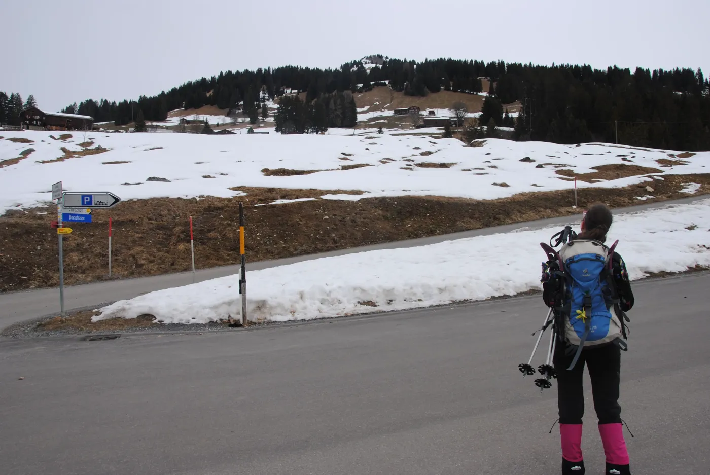Gipfeltour auf den Alpbüel oder eine Schneeschuhtour ohne Schnee