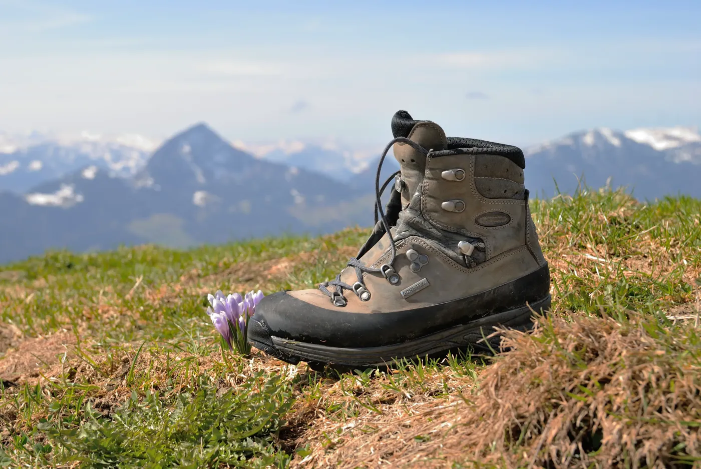 Wanderschuhe im Test: LOWA Tibet GTX Ws