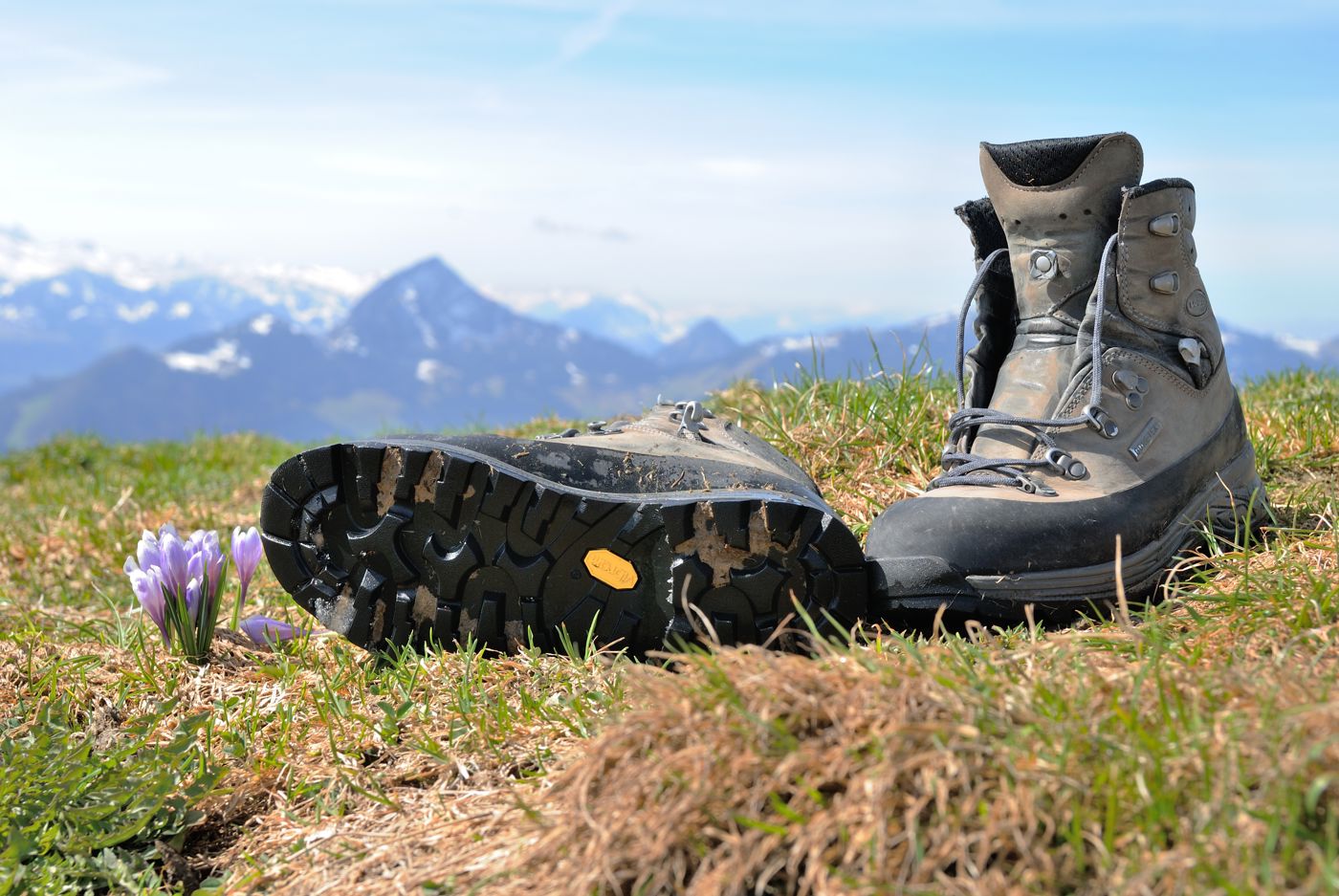 Lowa Tibet GTX