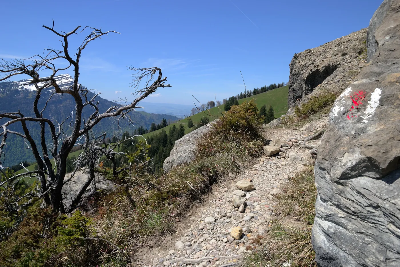 Die schönsten Frühlingswanderungen in den Alpen