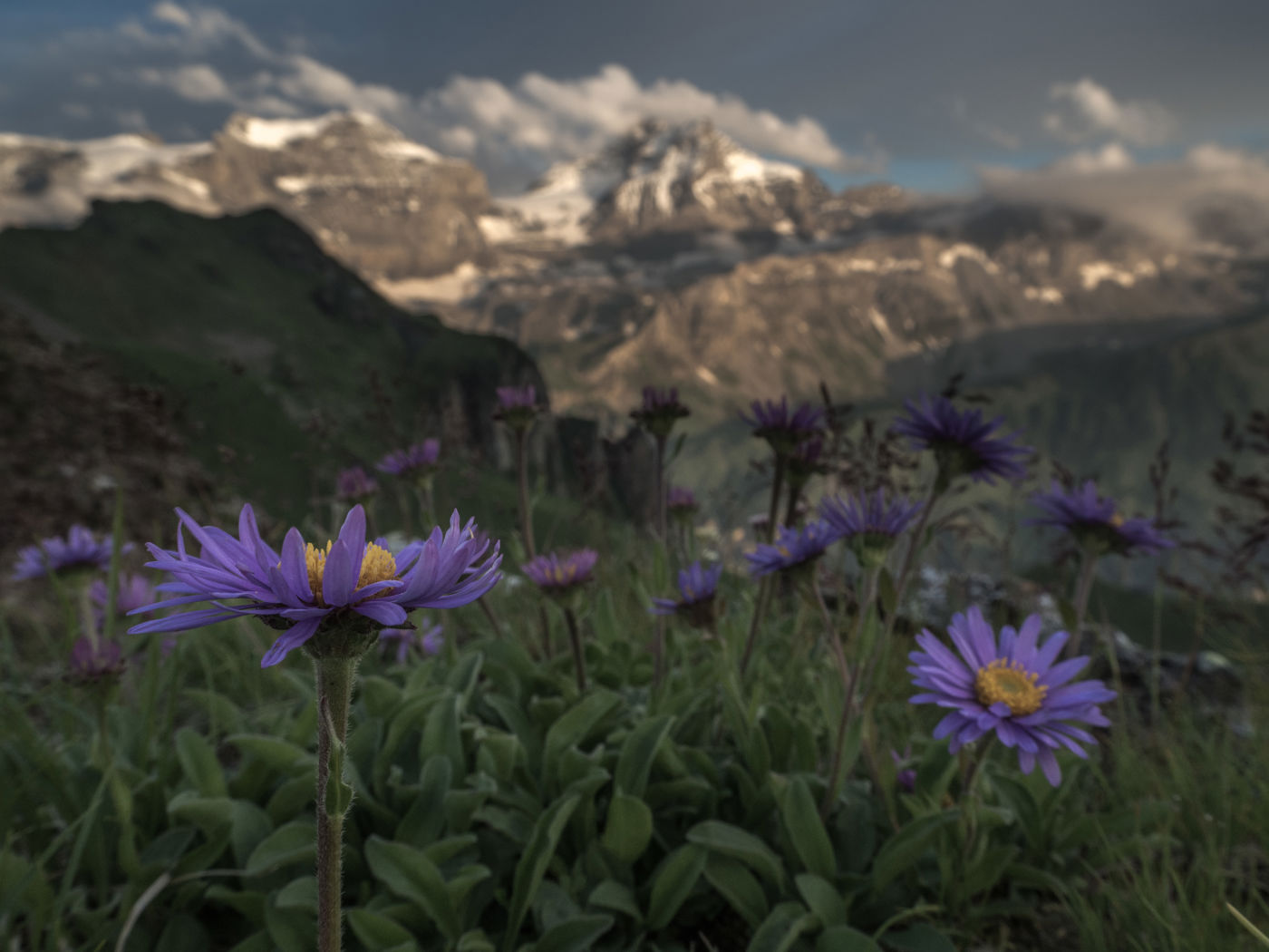 Microadventure am Klausenpass - Raus aus dem Alltag