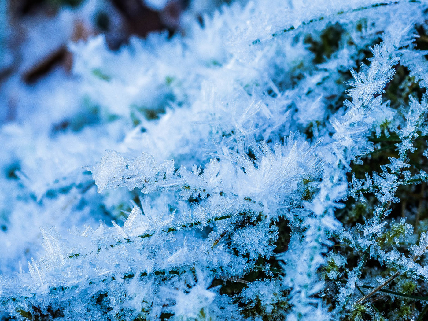 Eis Winter