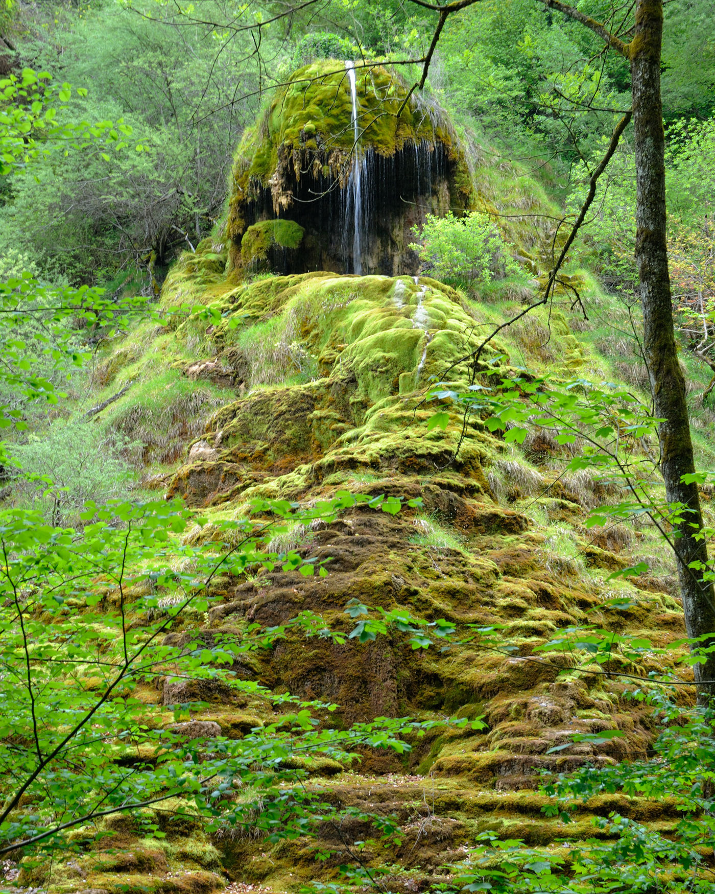 Tüfels Chilen