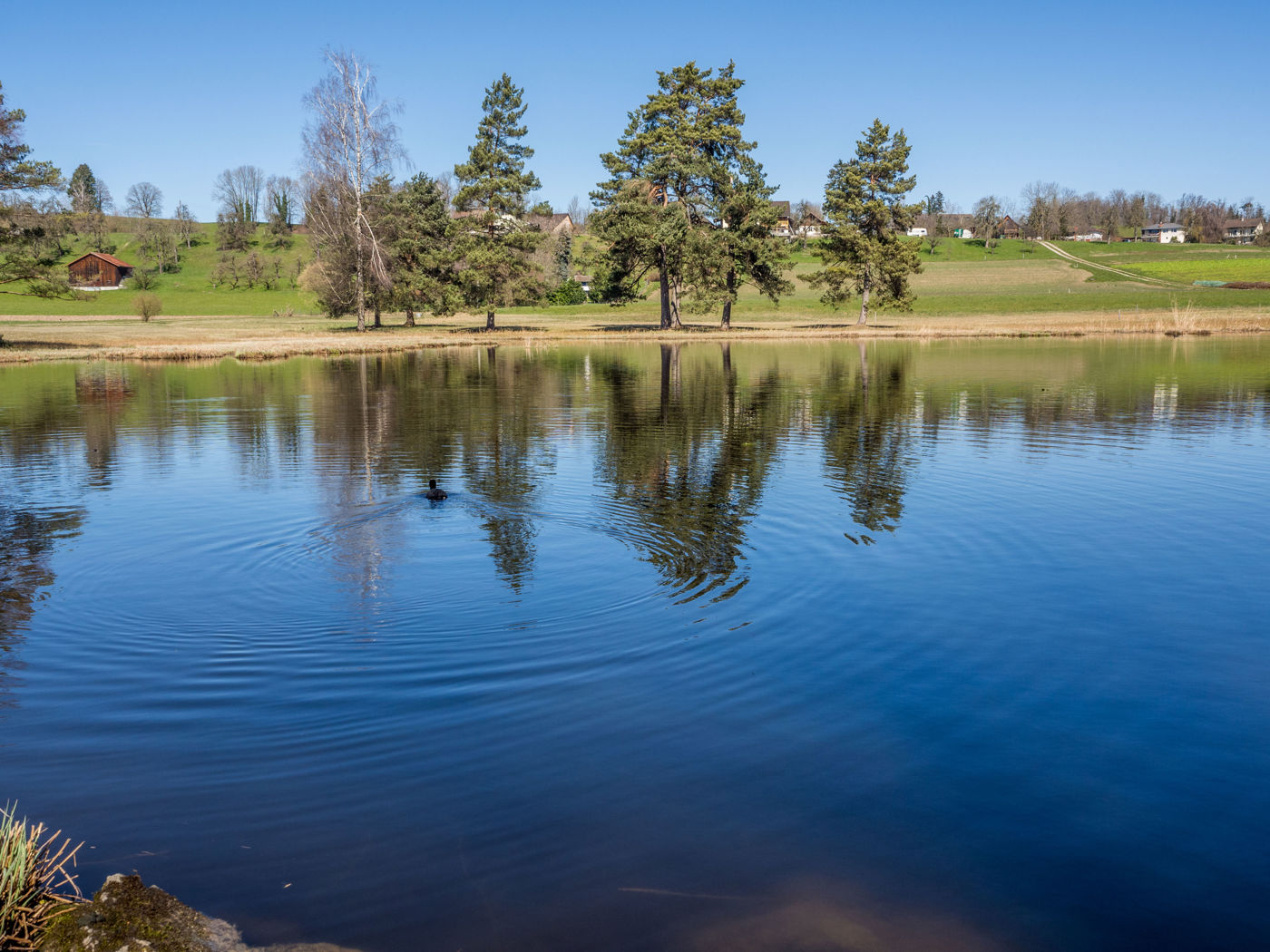 Chatzentobelweiher