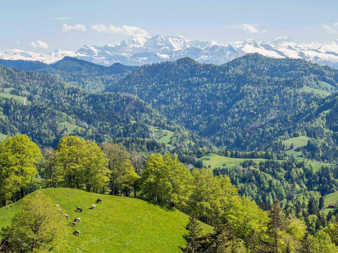 Hörnli Aussicht