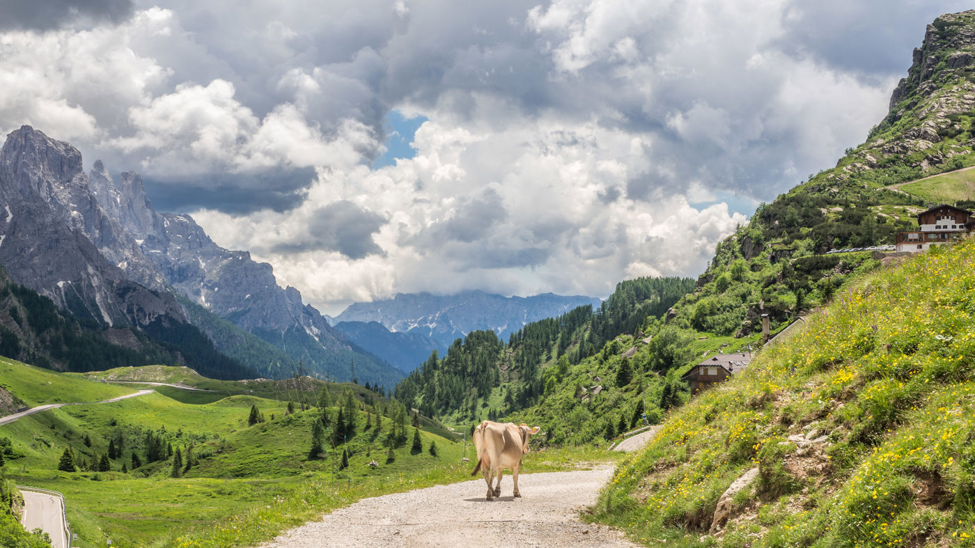 Passo Rolle