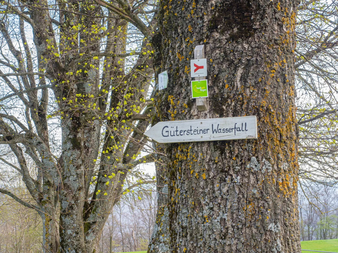 Wasserfallsteig - Gütersteiner Wasserfall