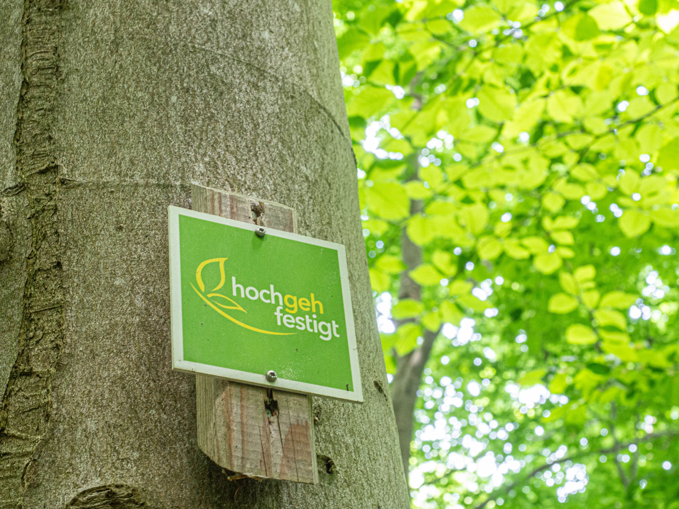 Hochgehfestigt Wegmarkierung