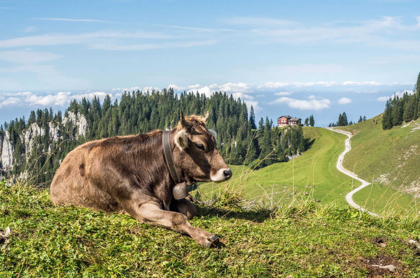 Von der Klewenalp auf den Schwalmis