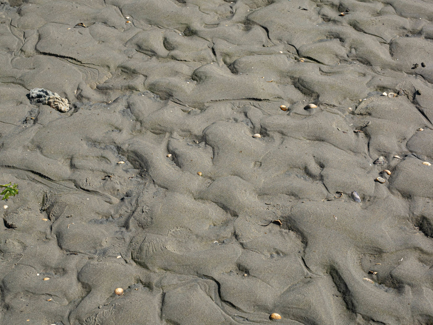 Sandwatt