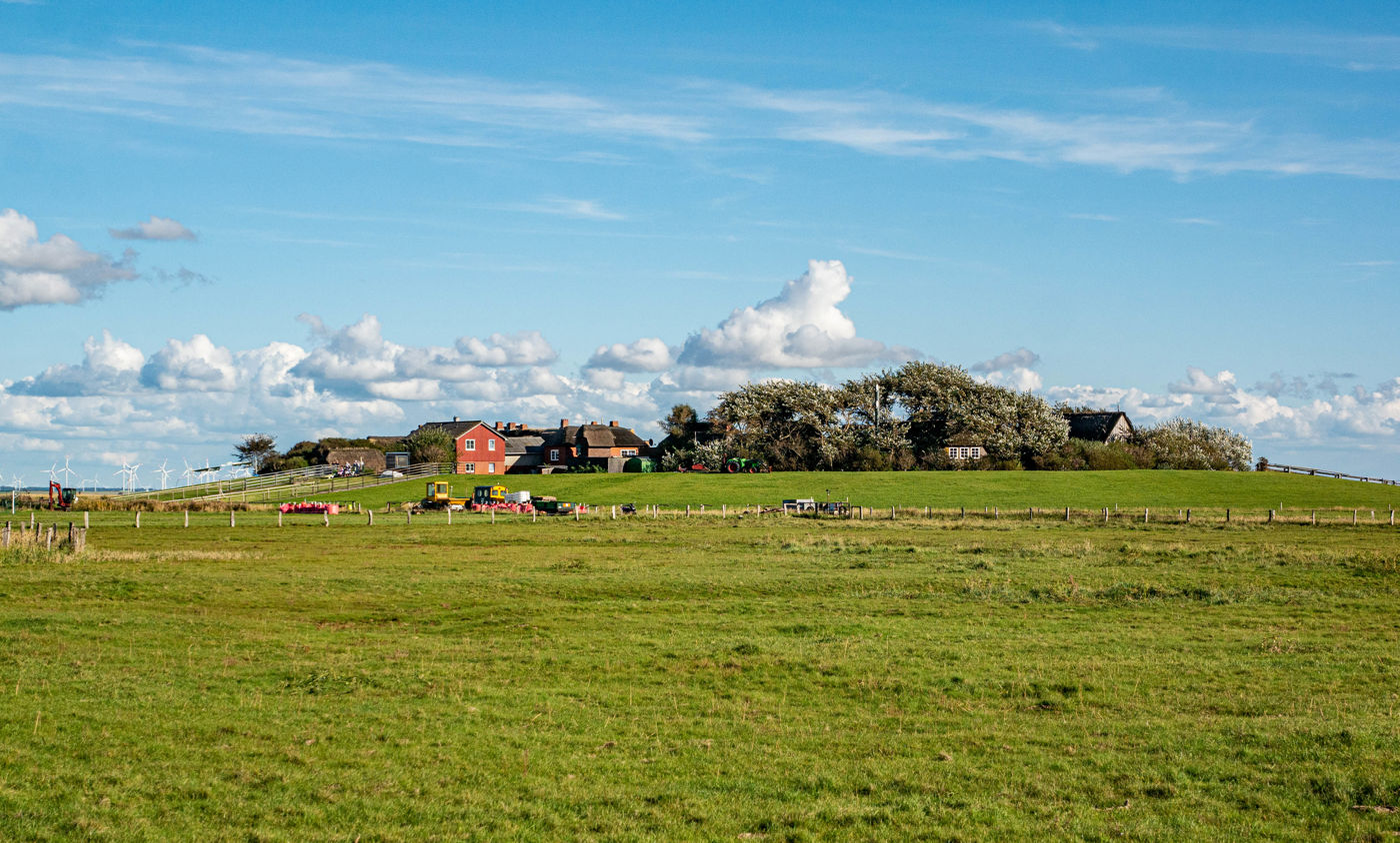Hallig Oland