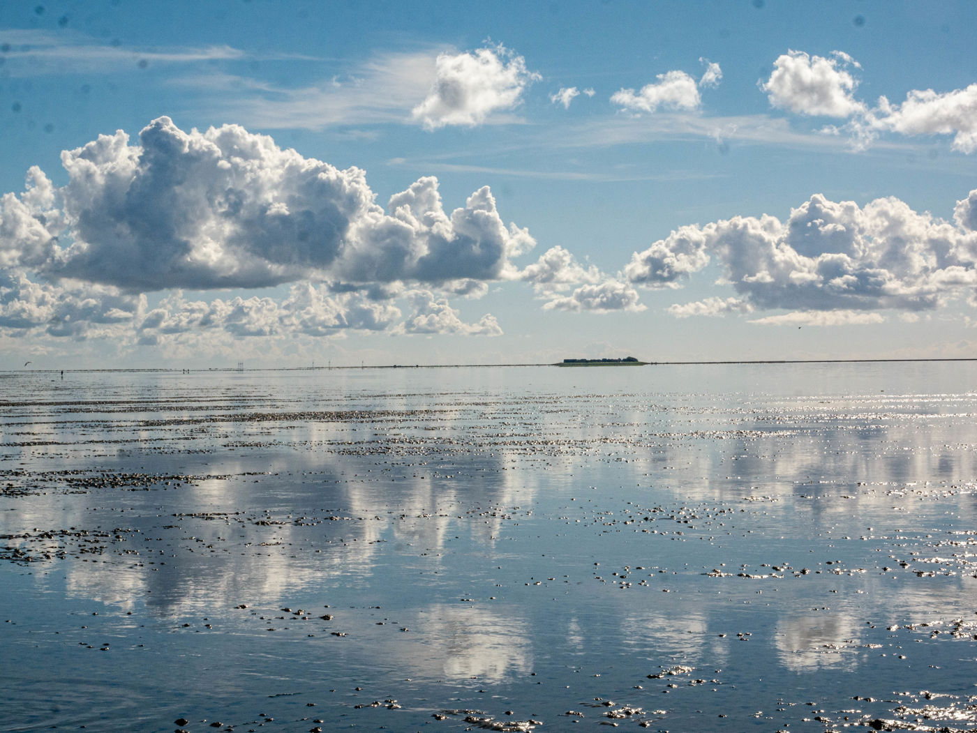 Spiegelung Watt Hallig Oland