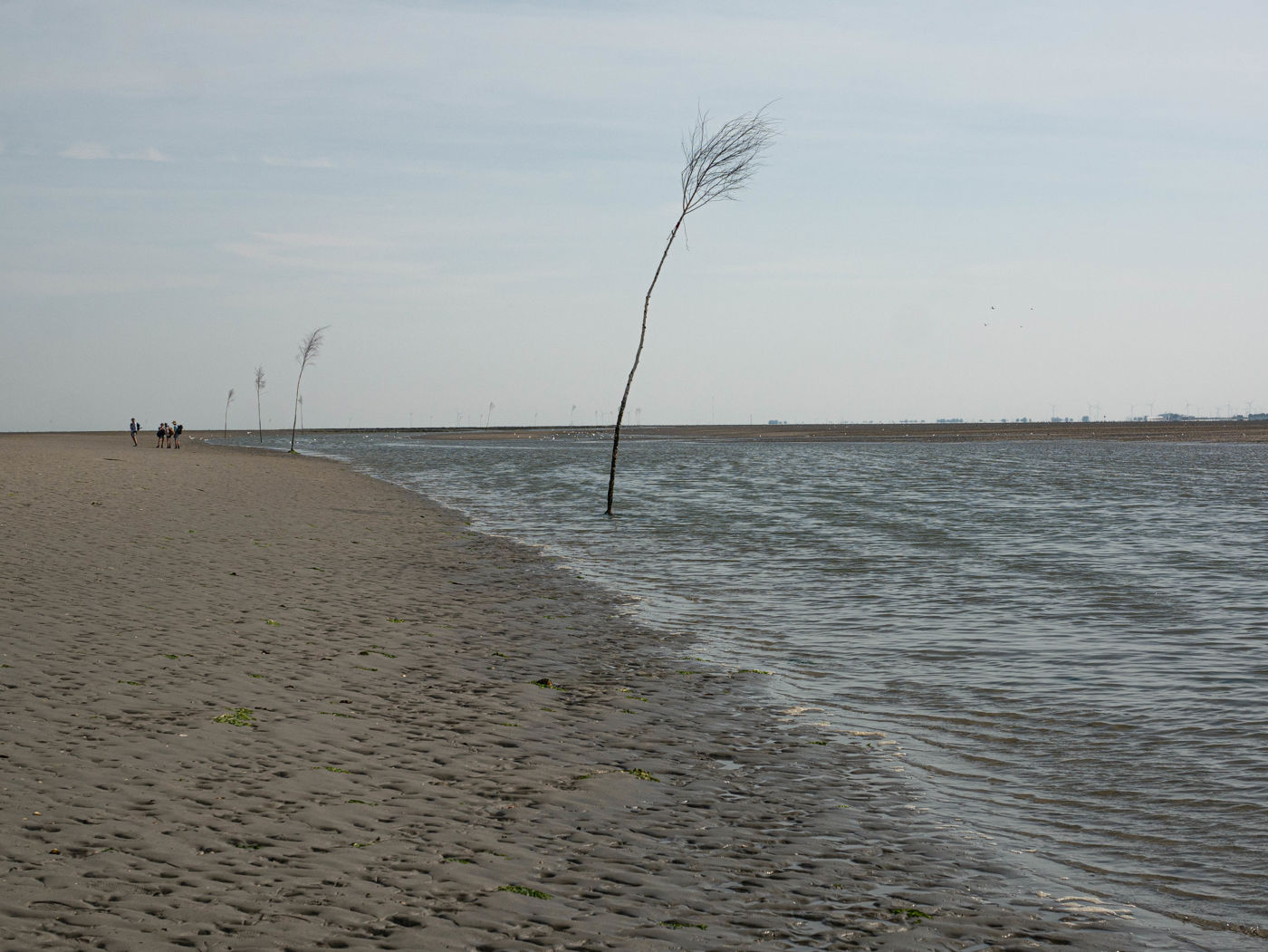 Wattwanderung nach Baltrum