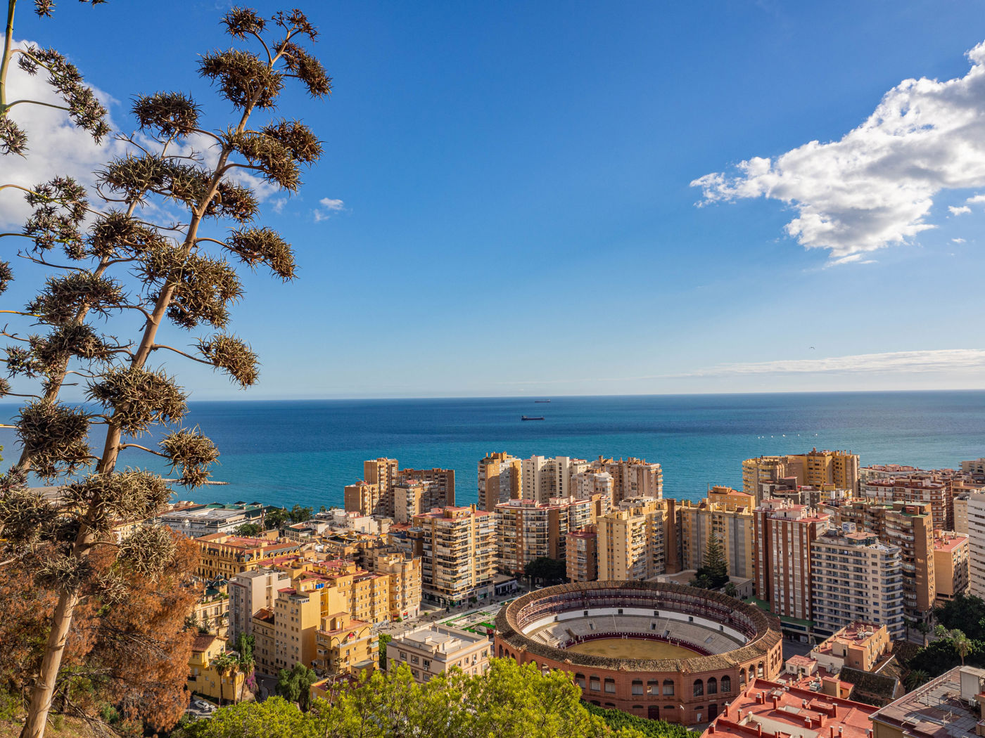 Stierkampfarena Málaga