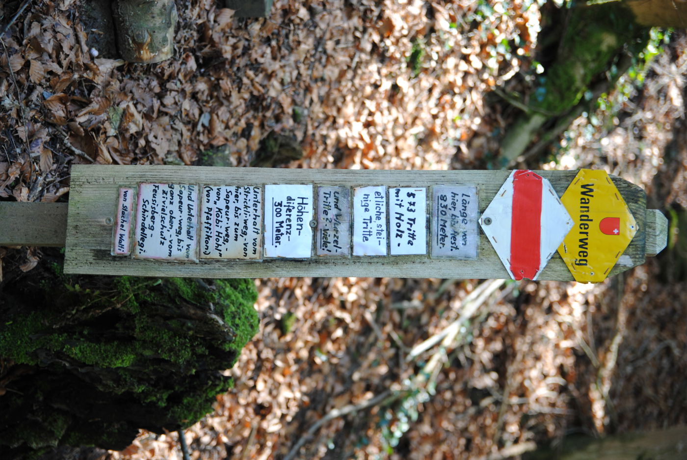 Etzel Strickliweg