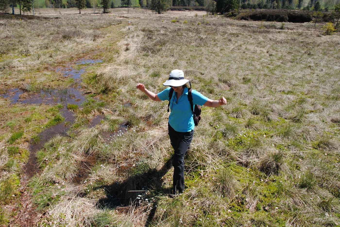 Hochmoor