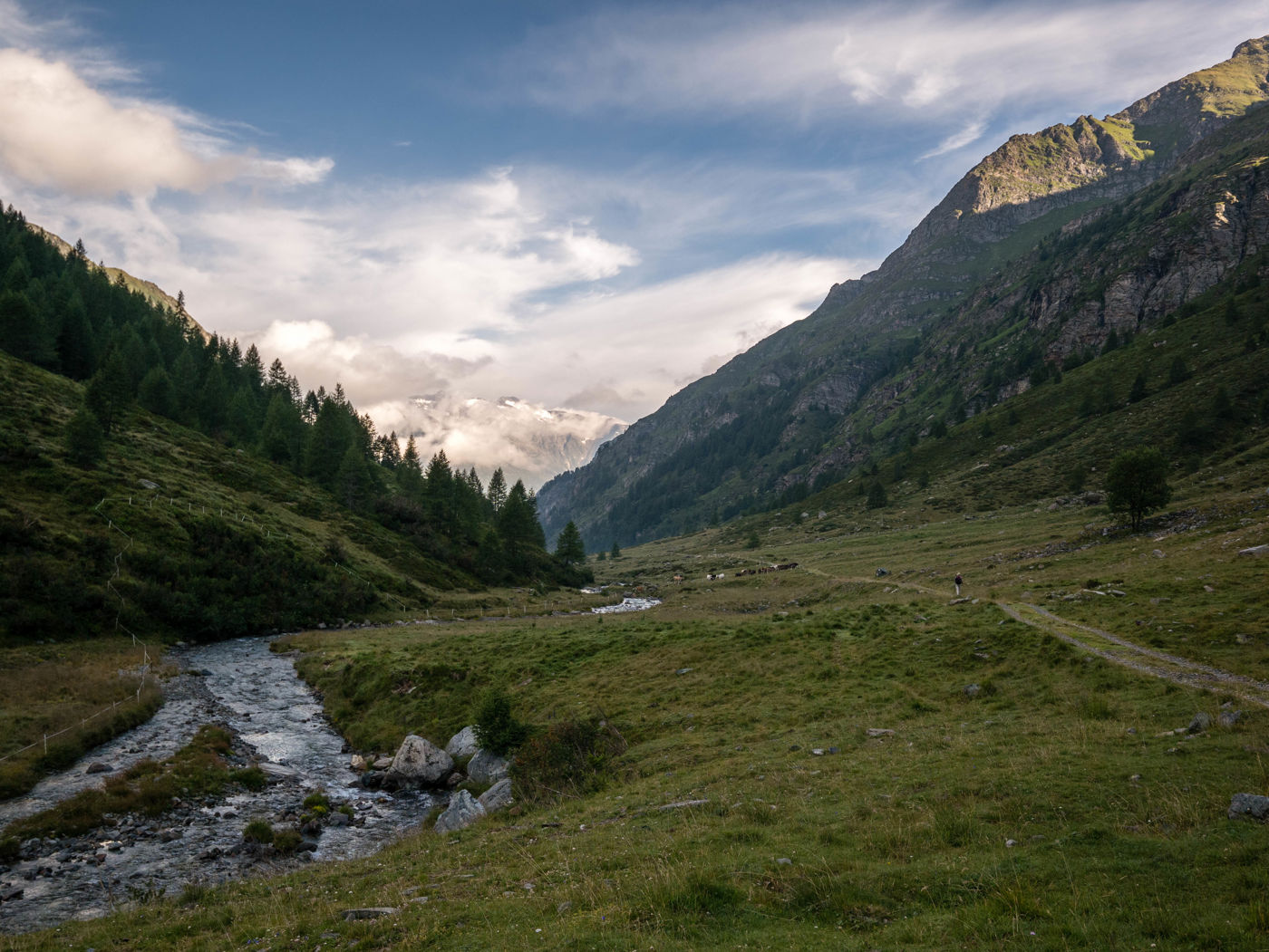 Greina Hochebene Tag 3: durchs Val di Carassiono
