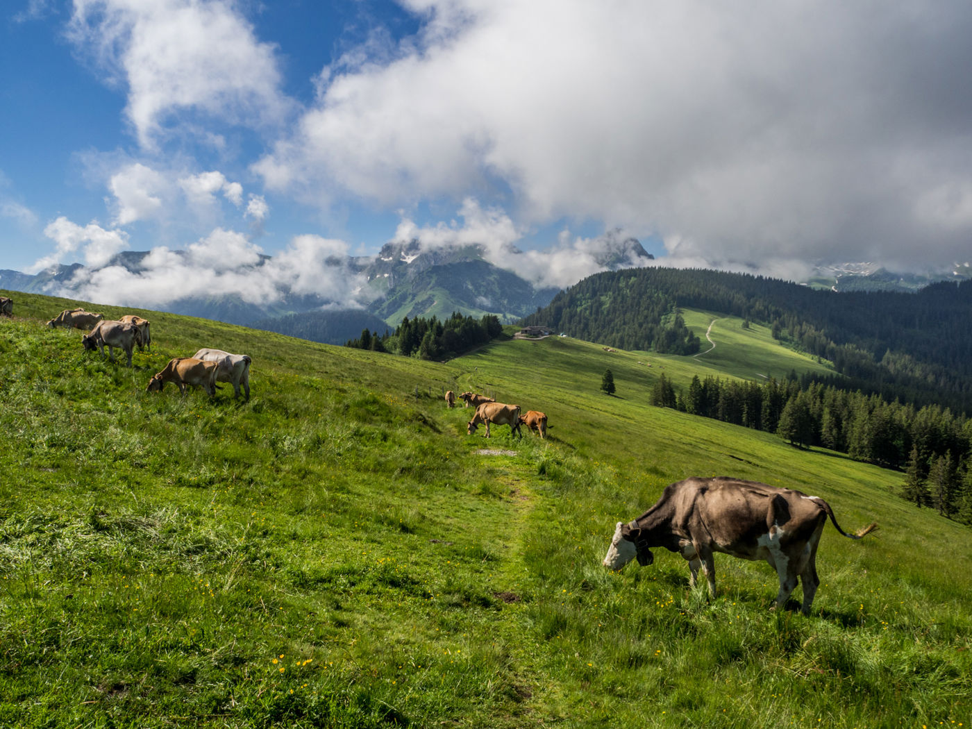 Gantrisch Panoramaweg Wanderung