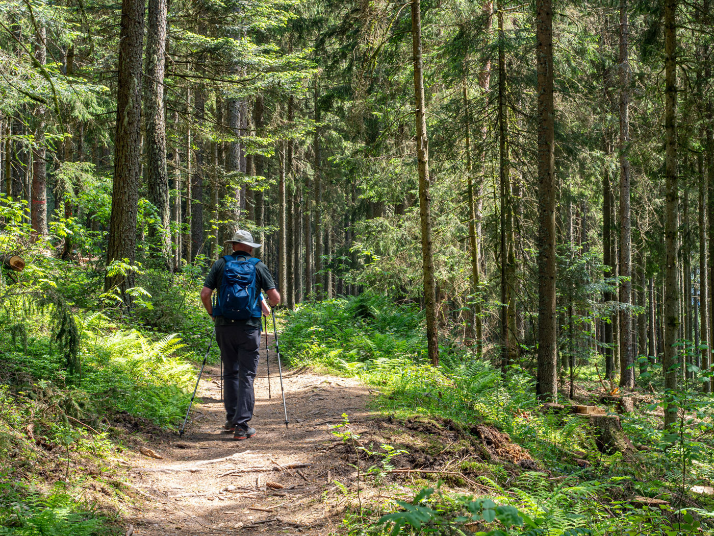 Geniesserpfad Schluchseer Jägersteig