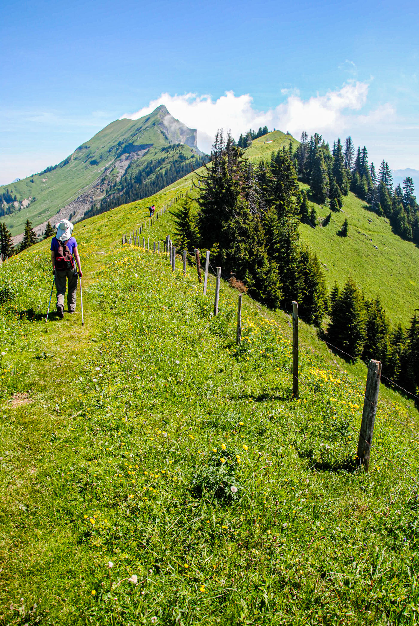 Höhenweg Augstmatthorn