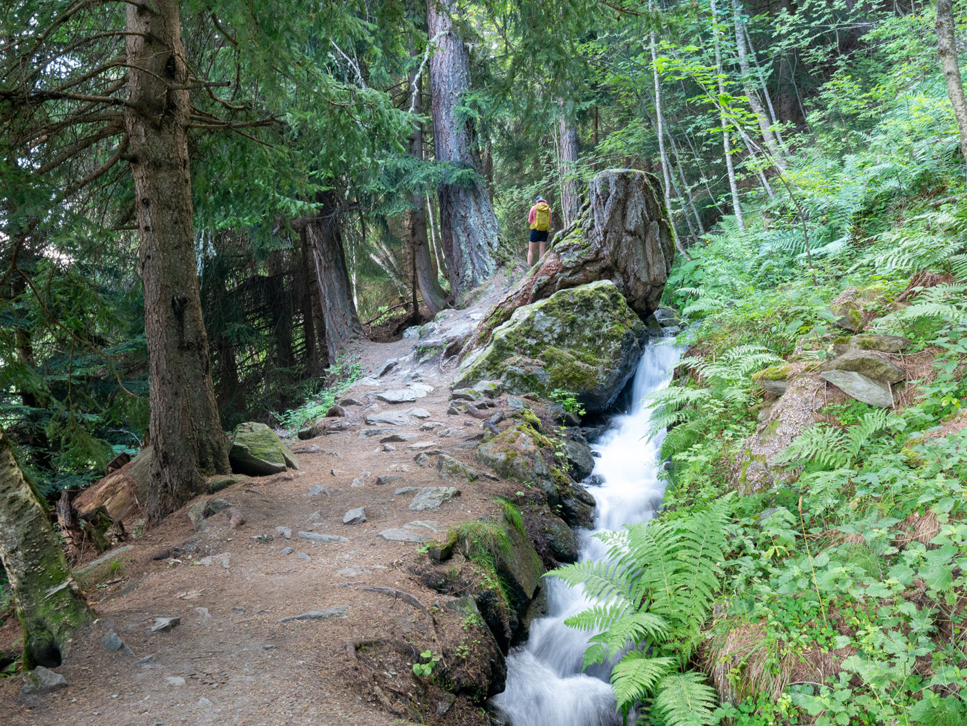 Bisse de Vieux