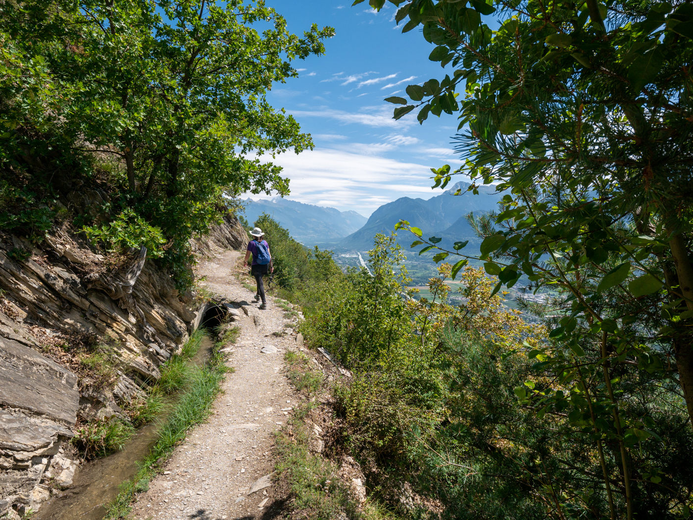 Suonenwanderung