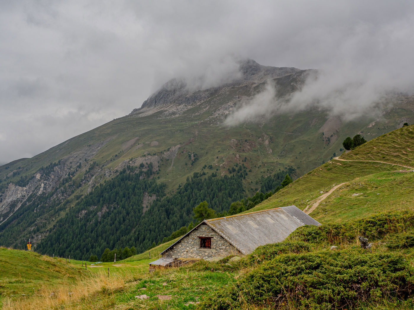 Alp Muntatsch