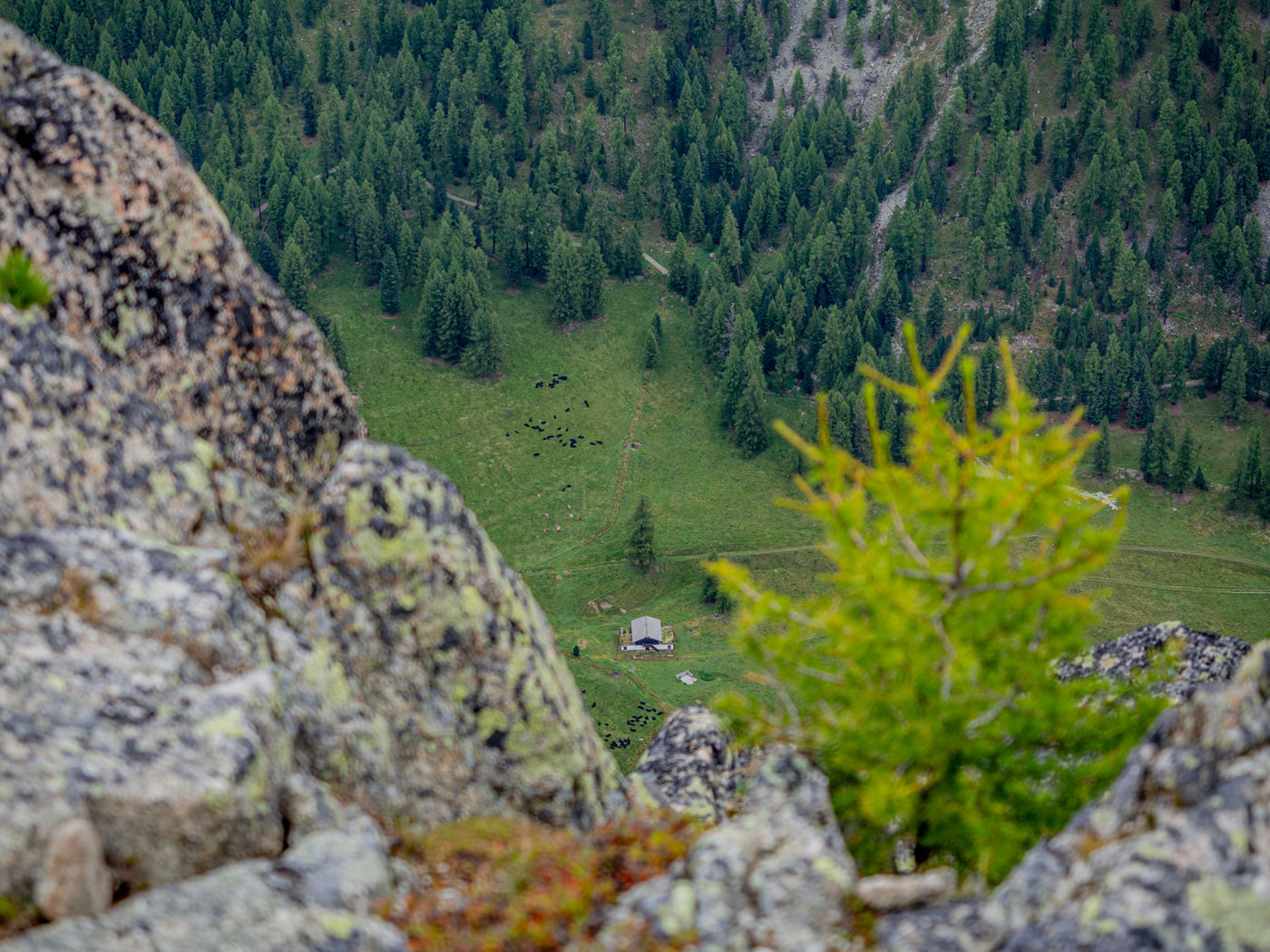 Val Bever