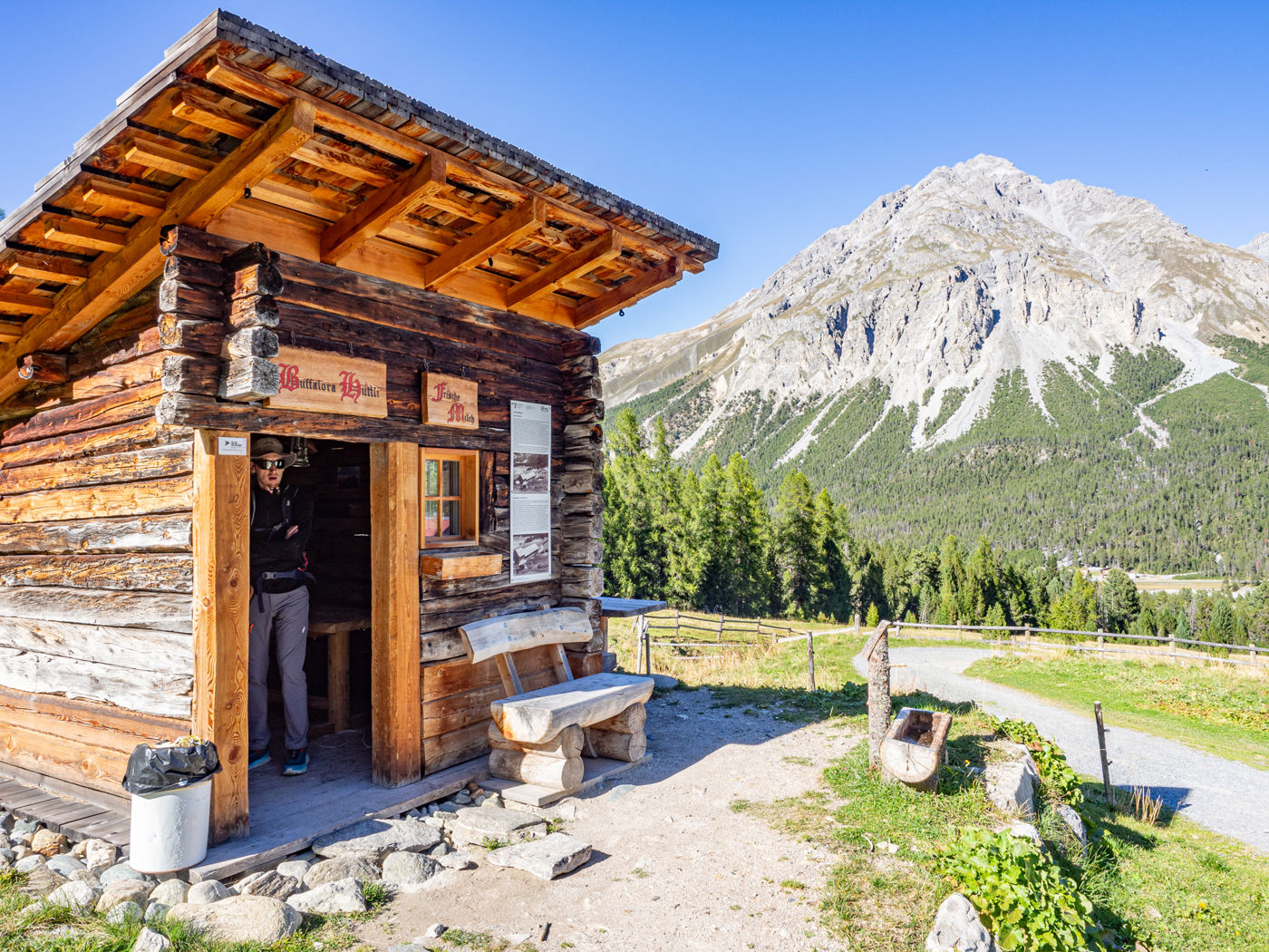Alp Buffalora