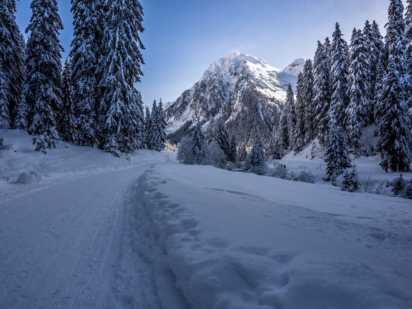Winterwanderung Klosters Platz - Alp Garfiun