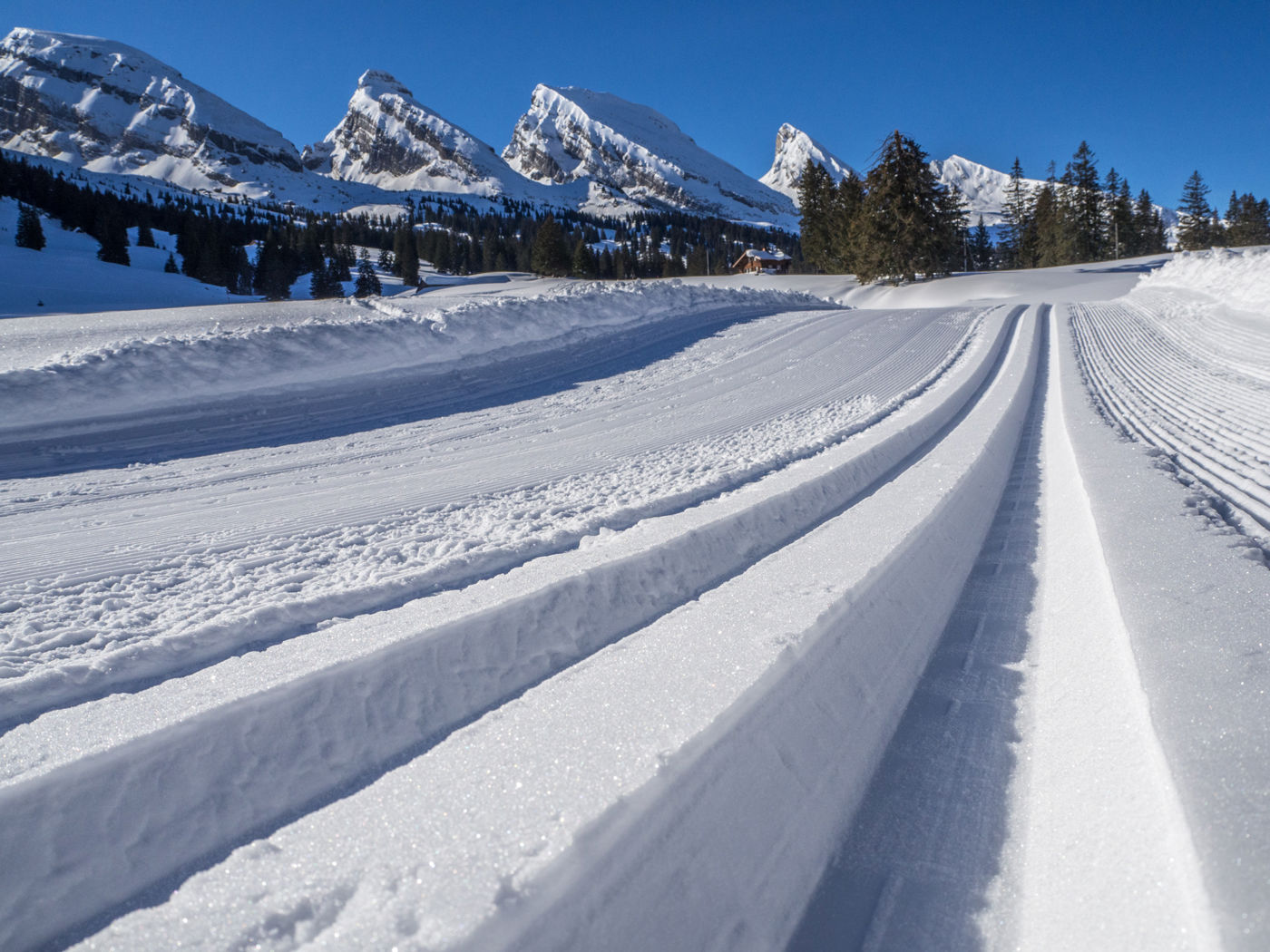 Toggenburger Winterwanderweg