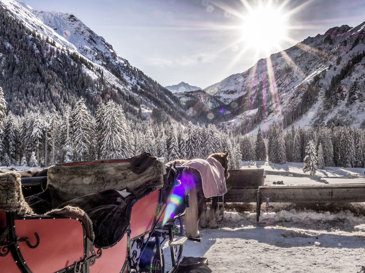 Winterwanderung Klosters Platz - Alp Garfiun
