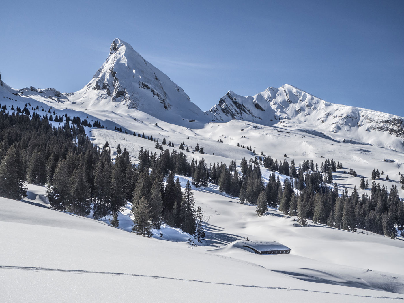 Churfirsten Frümsel Selun