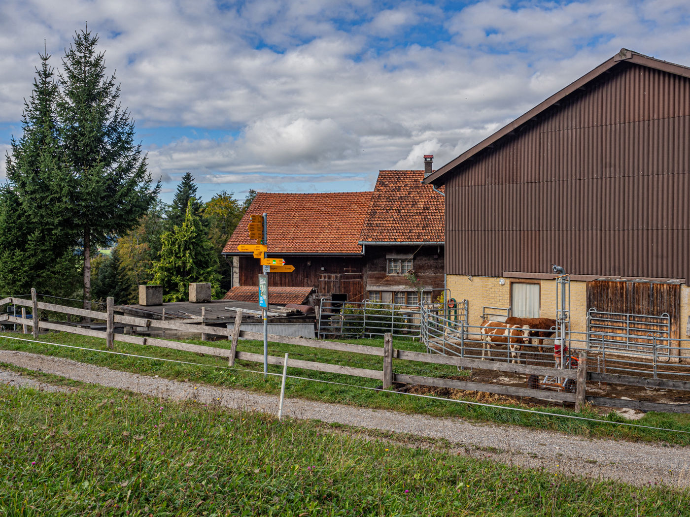 Hüttchopf Weg Tannen