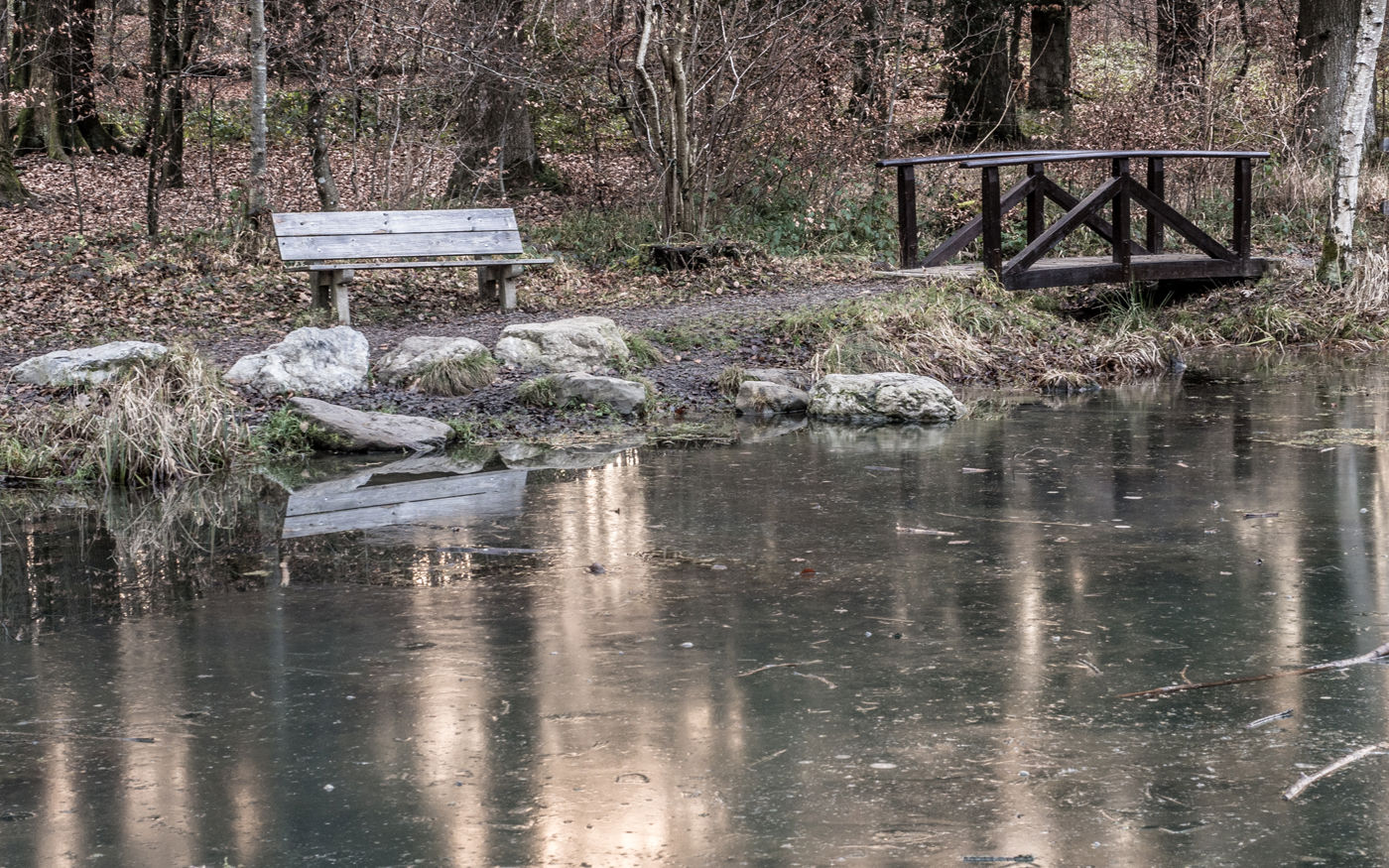 Wanderung Zürichberg - Lorenchopf - Elefantenbach