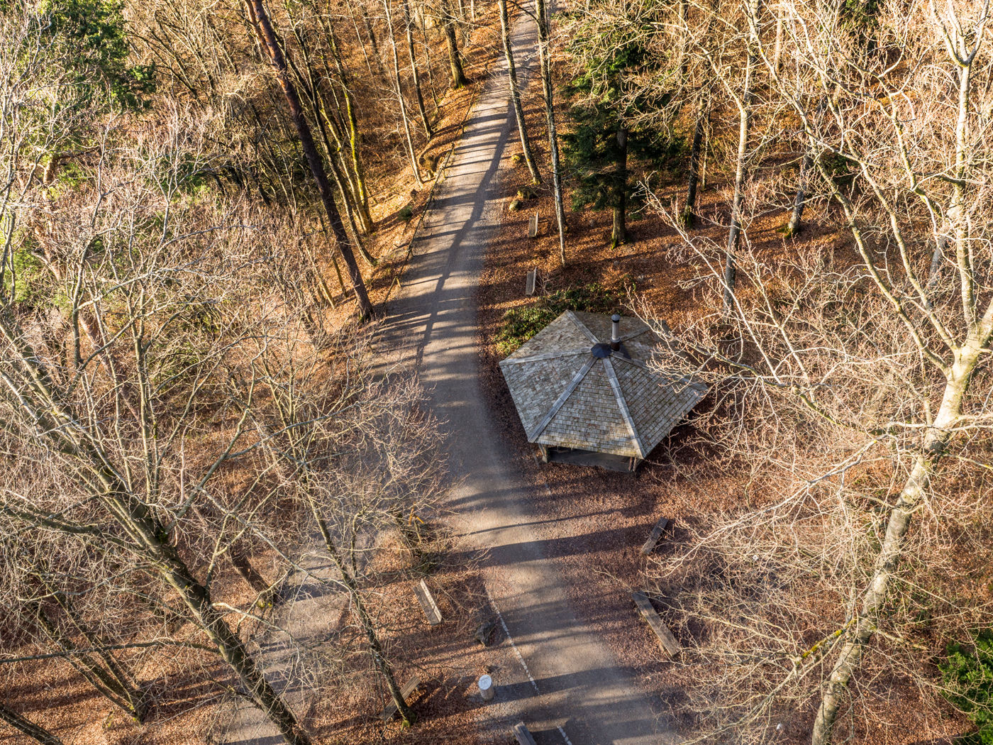 Wanderung Zürichberg - Lorenchopf - Elefantenbach