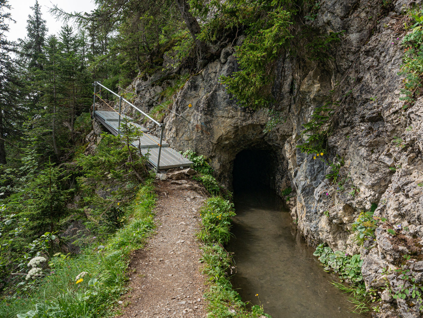 Bisse de Sion