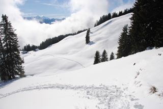 Spuren im Schnee