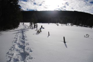 Weg auf's Jänzi