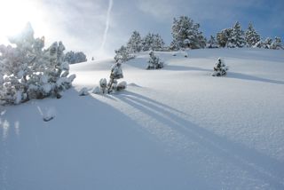Winterzauber