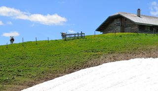 Wanderung auf den Garten (Berner Oberland)