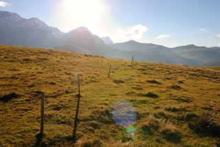 Nach dem Absteig vom Oberlaubhorn geht es über sanfte Wiesen bergab