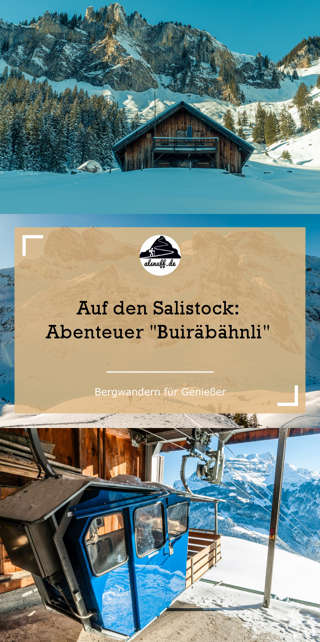 Salistock