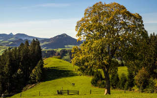 Alpenpanoramaweg Appenzeller Land
