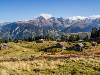 Caischavedra