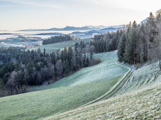 Kalter Wintermorgen in Menzberg