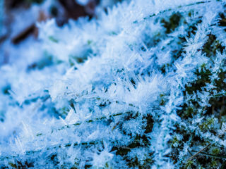 Eis Winter