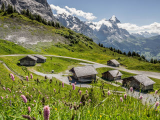 Grosse Scheidegg