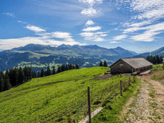 Malixer Alp