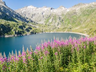Gotthard Seenwanderung